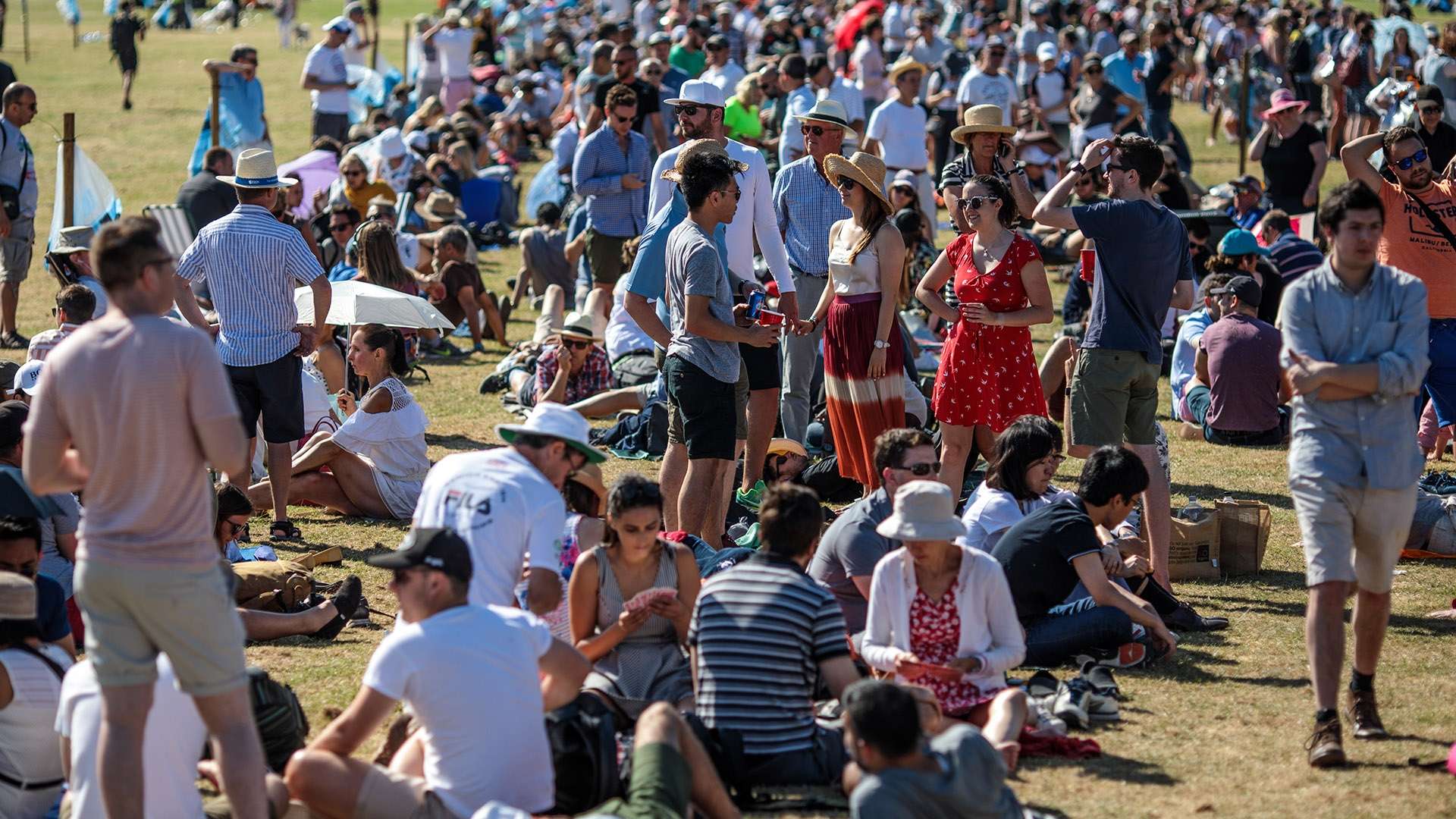 也力保了皇 也力保了皇